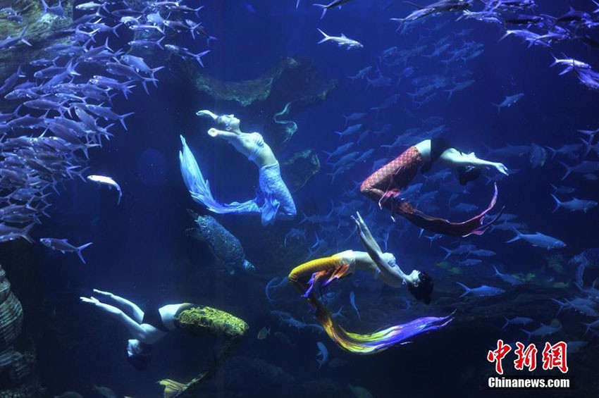 観光客を魅了する「人魚姫」の舞い―貴州省貴陽市