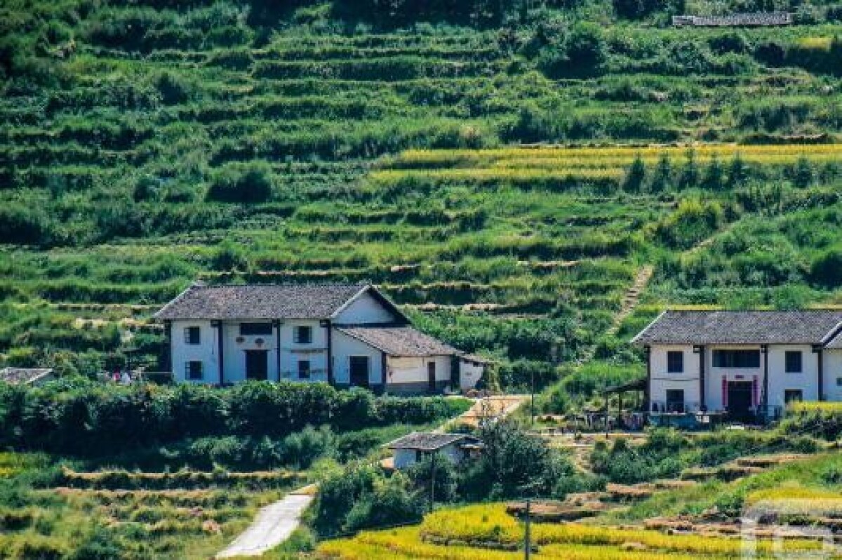 2021年度の土壌侵食面積が縮小、強度も下がる―中国