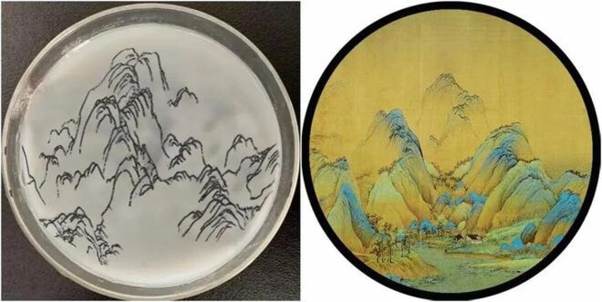 高校生が描いた「千里江山図」の画材はなんと微生物―中国