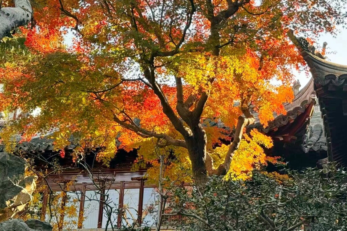 写真特集＞上海にある明代の名園・豫園、カラフルな姿で観光客を迎える