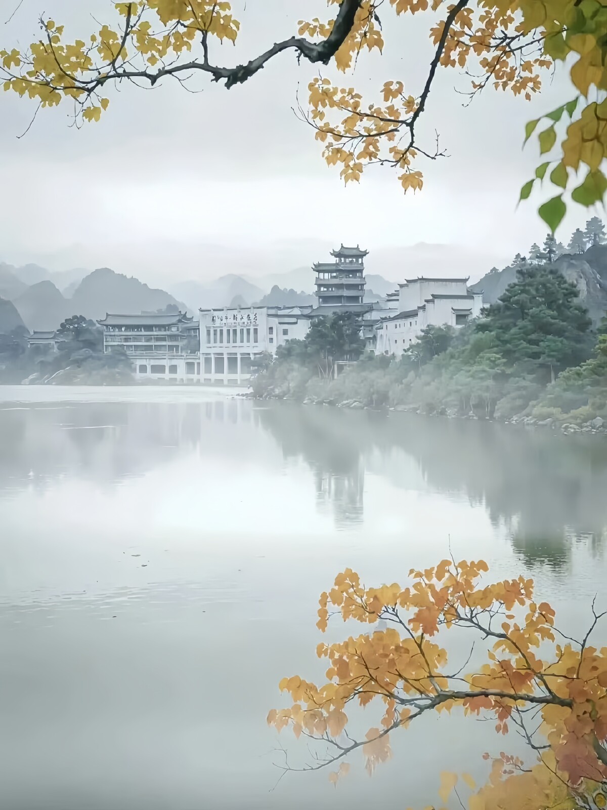 画像が削除されました