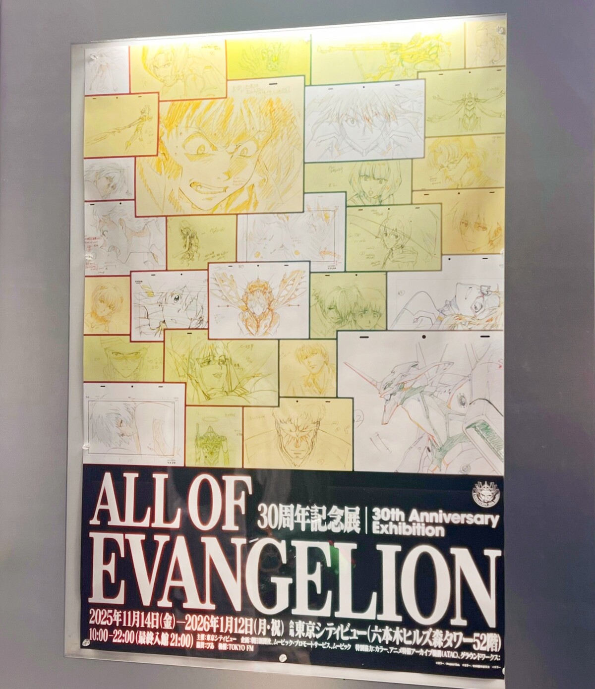 エヴァンゲリオン」完全新作シリーズの制作発表に中国ネット「怪しい