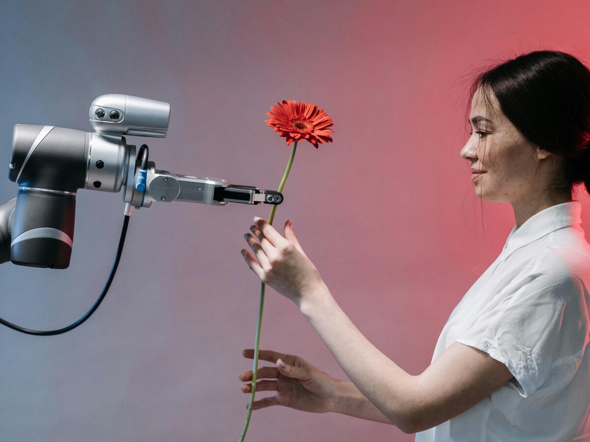 画像が削除されました