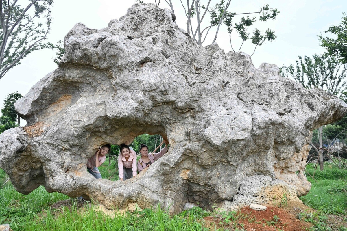 奇石23万点以上、江蘇省に観賞石博物園が開園―中国