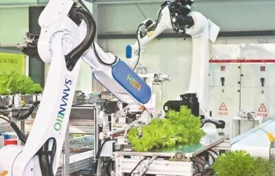 世界初！中国が自動化垂直植物工場を独自開発―中国メディア