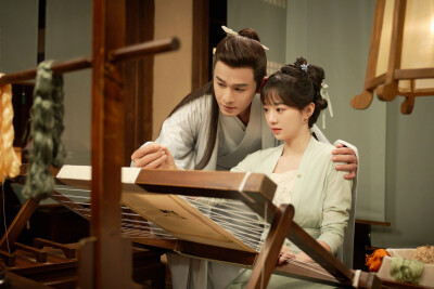 構成と衝撃的な内容が話題の時代劇「花の告発～煙雨に仇討つ九義人