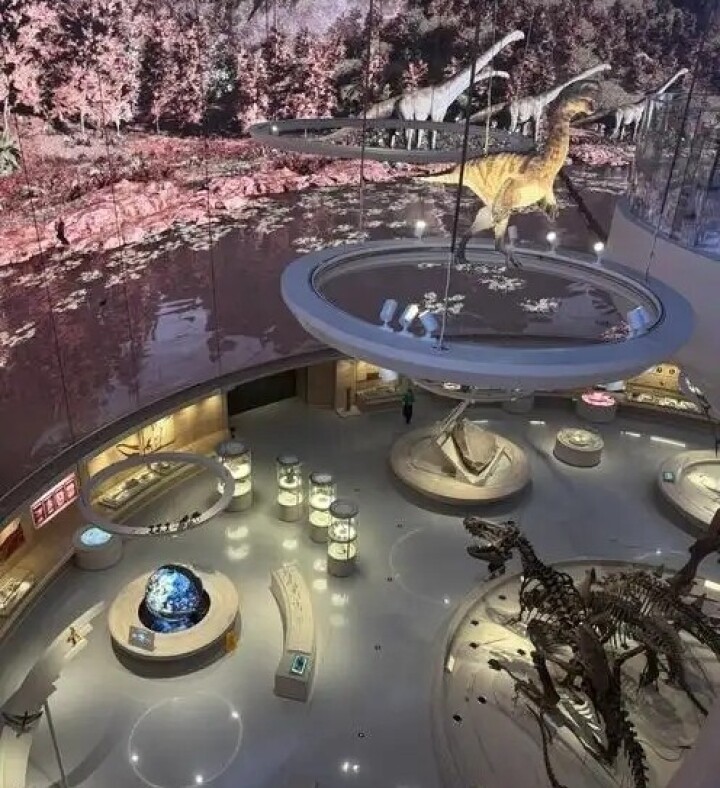 自然博物館 8大展示ホールに標本7461点、華南エリア最大の自然博物館が深センで