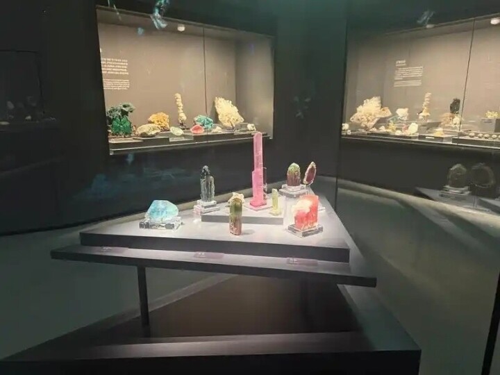 8大展示ホールに標本7461点、華南エリア最大の自然博物館が深センで